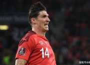 开云体育- 瑞士队队员 